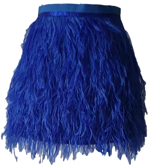 Queen Of Sparkles Royal Feather Skirt